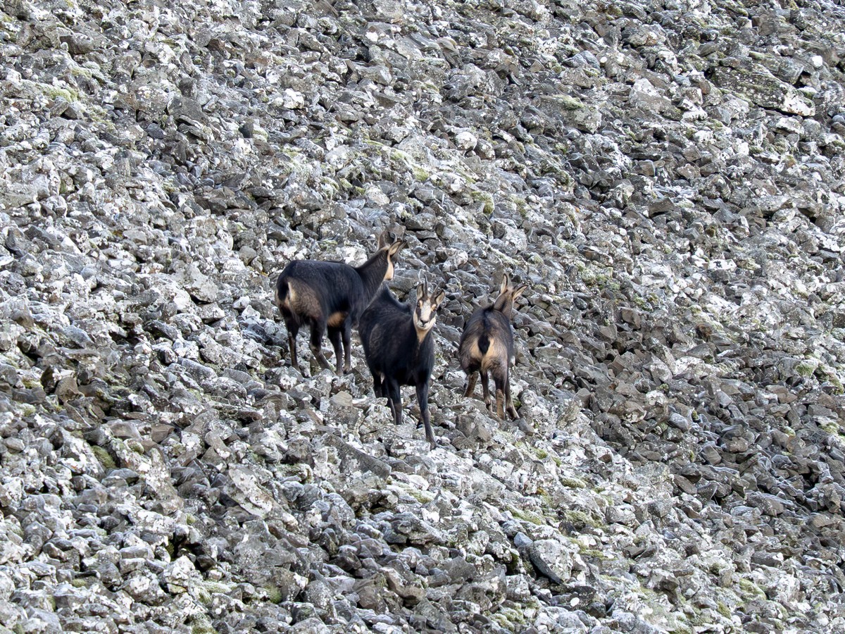 01122025-01 12 25 (7).jpg